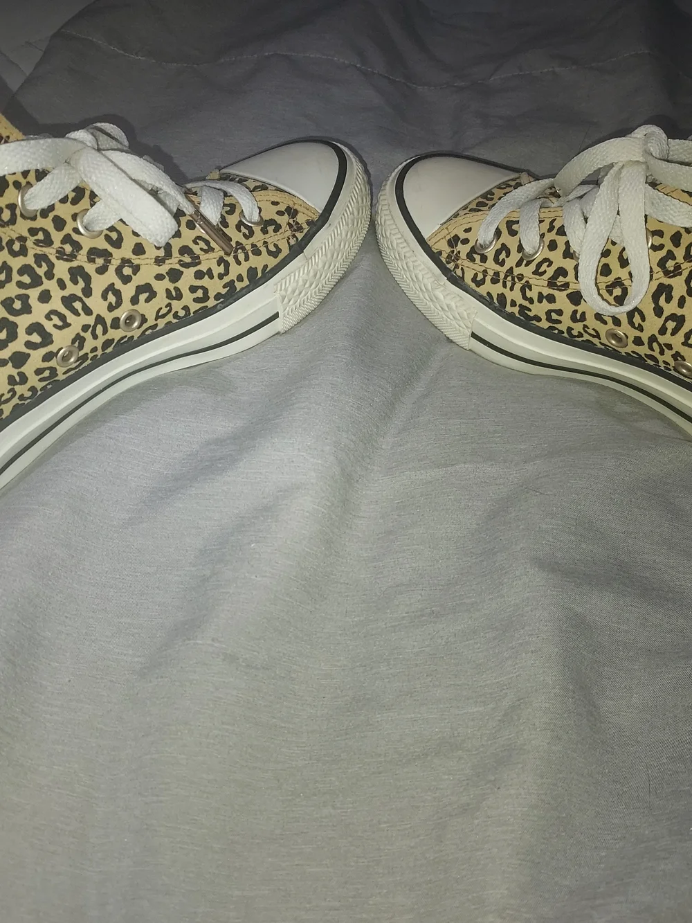Converse Women's Leopard Print Canvas Sneakers with White Laces